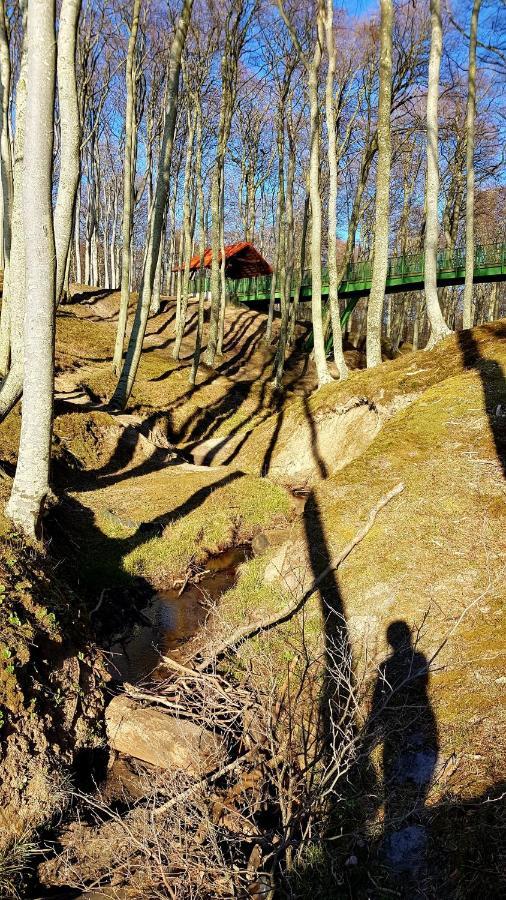 Lesna Ostoja Poddabie Villa Екстериор снимка